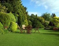 Umělý trávník na zahradu