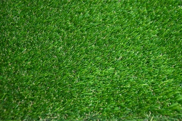 Travní koberec GAZON - 52 mm - DSC_4935